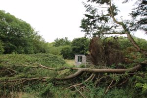 Photo 10- click for photo gallery